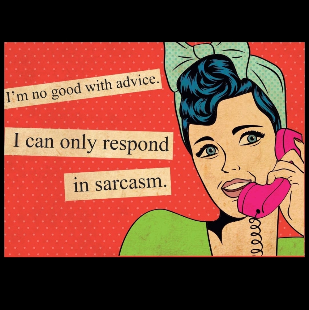 NEW Sarcasm Humor Magnet
